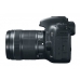 Canon EOS 7D Mark II Body купить в Минске с доставкой по РБ