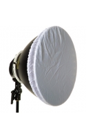 RAYLAB Осветитель флуоресцентный с рефлектором ( RFL-928 )