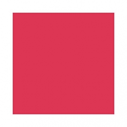 Фон бумажный 2,7x11м красный Polaroid