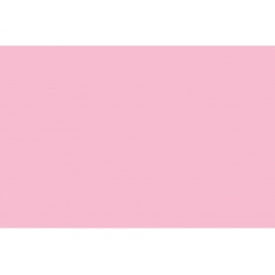 Бумажный фон Light pink 2,75*11 м Polaroid